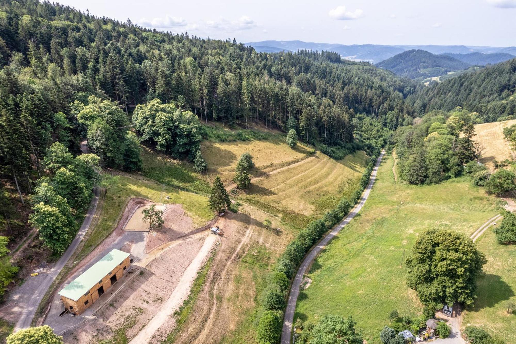Ferienhaus Giessler Nordrach Exteriör bild